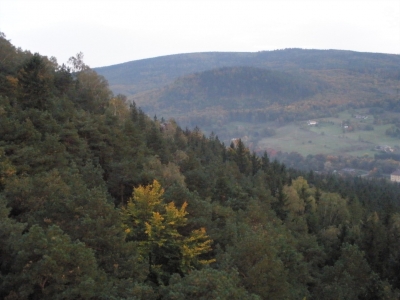 pa030034 (1)